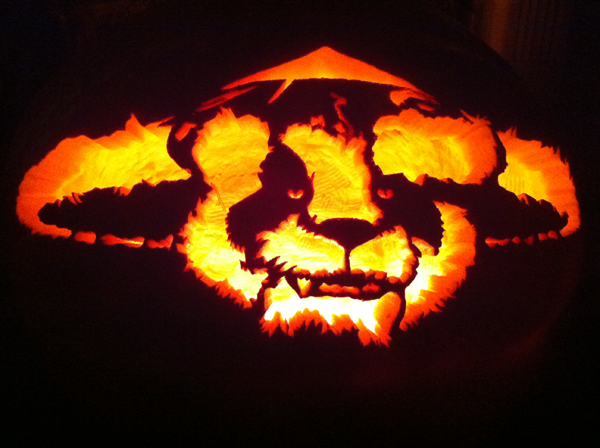 Out of Darkness Pumpkin Photo